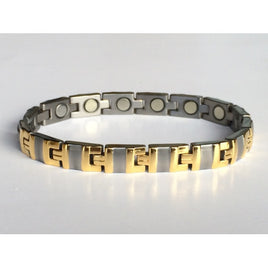 Titanium Magnetic bracelet