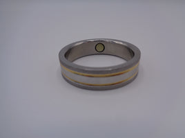 Stainless Steel Magnetic Therapy Ring